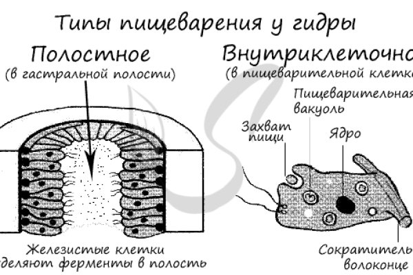 Кракен kr2web in