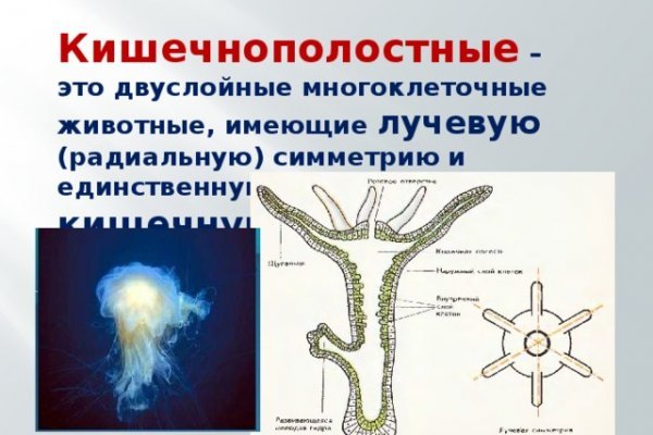 Кракен даркнет текст