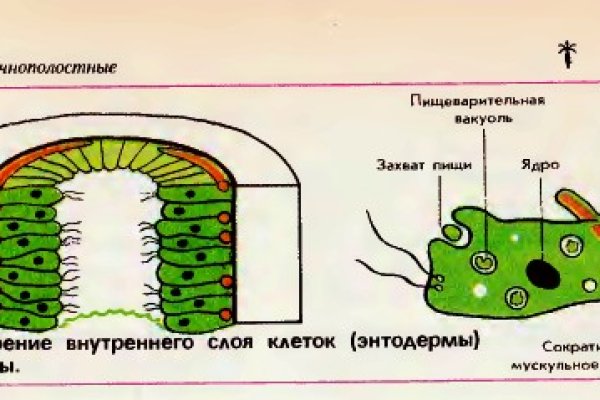 Кракен ссылка pw