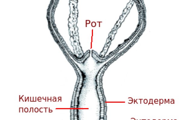 Кракен нов