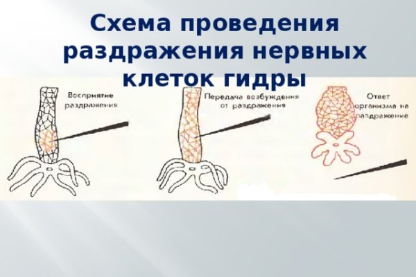 Официальный сайт kraken kraken clear com