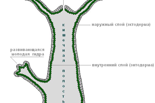 Скачать кракен тор