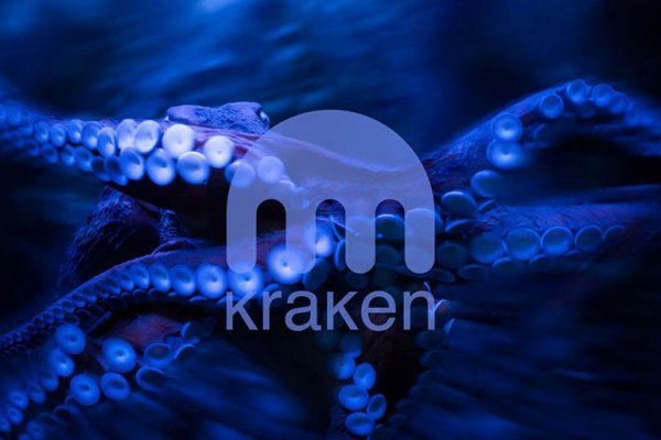 Кракен актуальная ссылка kraken torion net