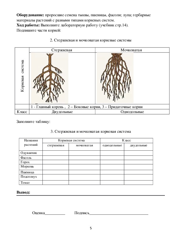 Кракен официальный