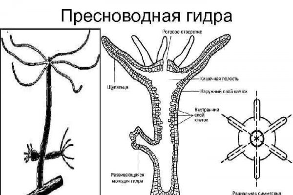 Кракен личный кабинет